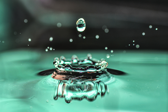 Macrophotographie-11